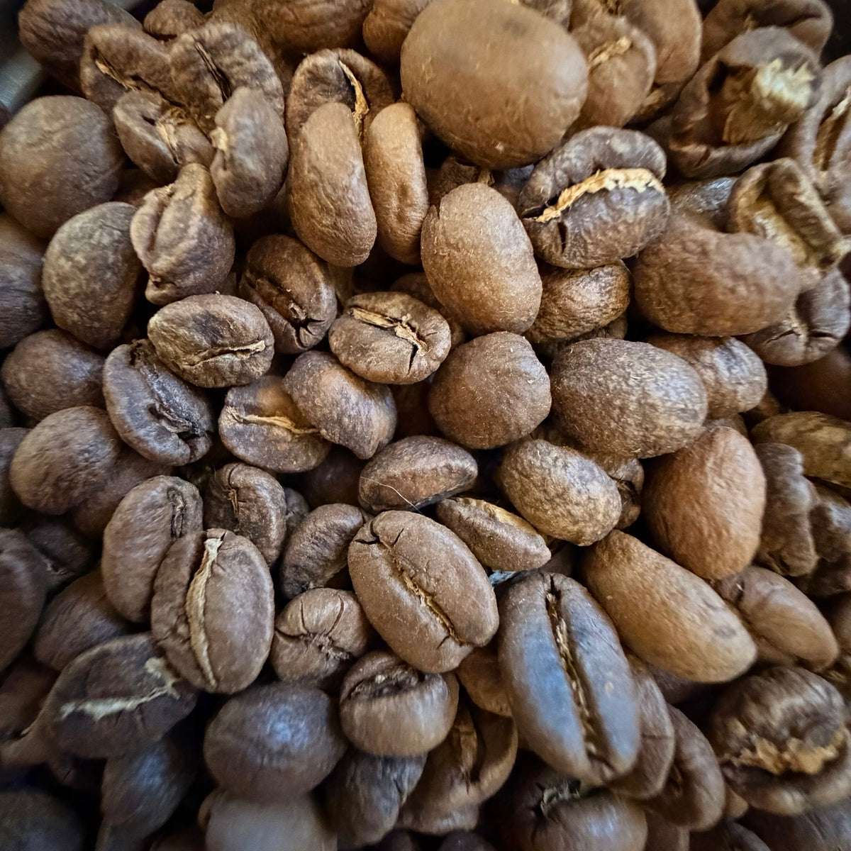 Close-up of Cask of Eternal Spirits whole coffee beans from Dead Tired Coffee Co. This specialty-grade Guatemala coffee is aged green in a used whiskey barrel for 30 days, then roasted to order in small batches for a fresh medium roast.