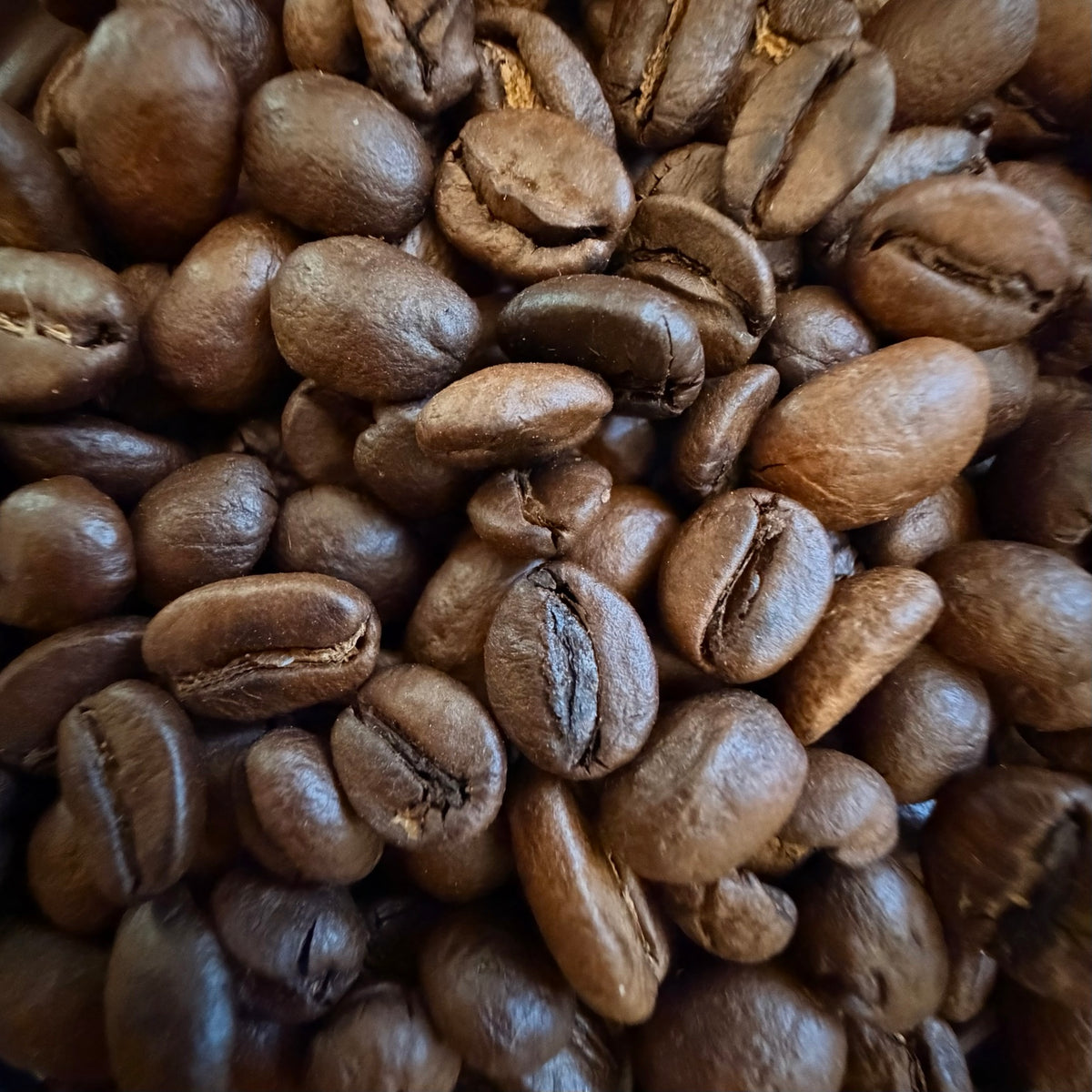 Close-up of Graveyard Roast whole coffee beans from Dead Tired Coffee Co. This specialty-grade six-bean dark roast is roasted to order in small batches for a smooth, deep cup; component origins may vary by harvest.
