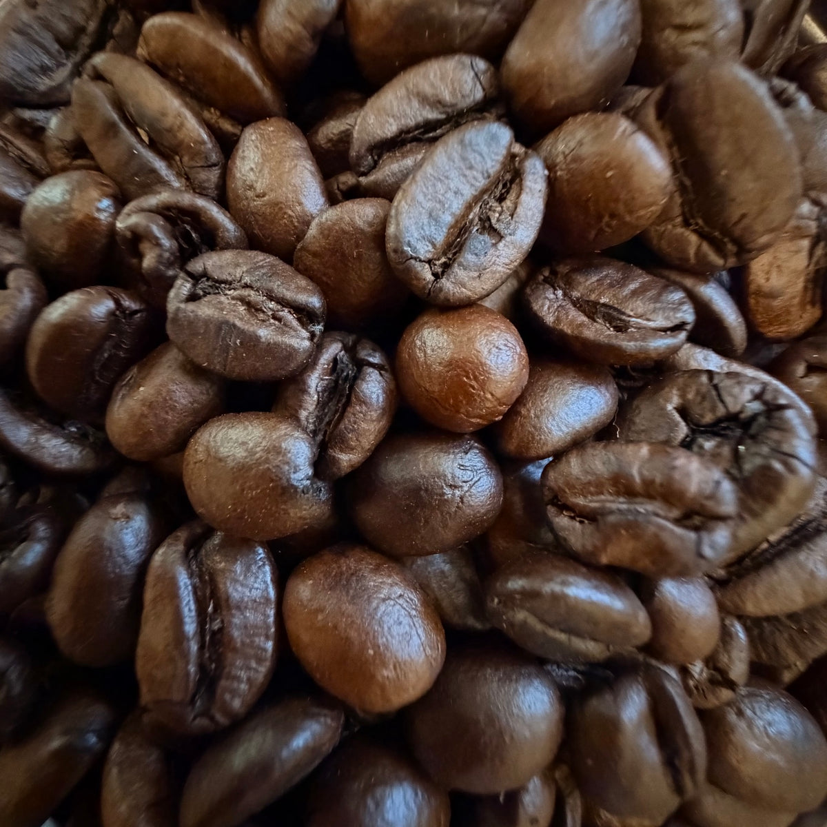 Close-up of Halfway to the Grave whole coffee beans from Dead Tired Coffee Co. This specialty-grade Italian dark roast is freshly roasted to order in small batches for a bold cup with dark chocolate and smoky notes.