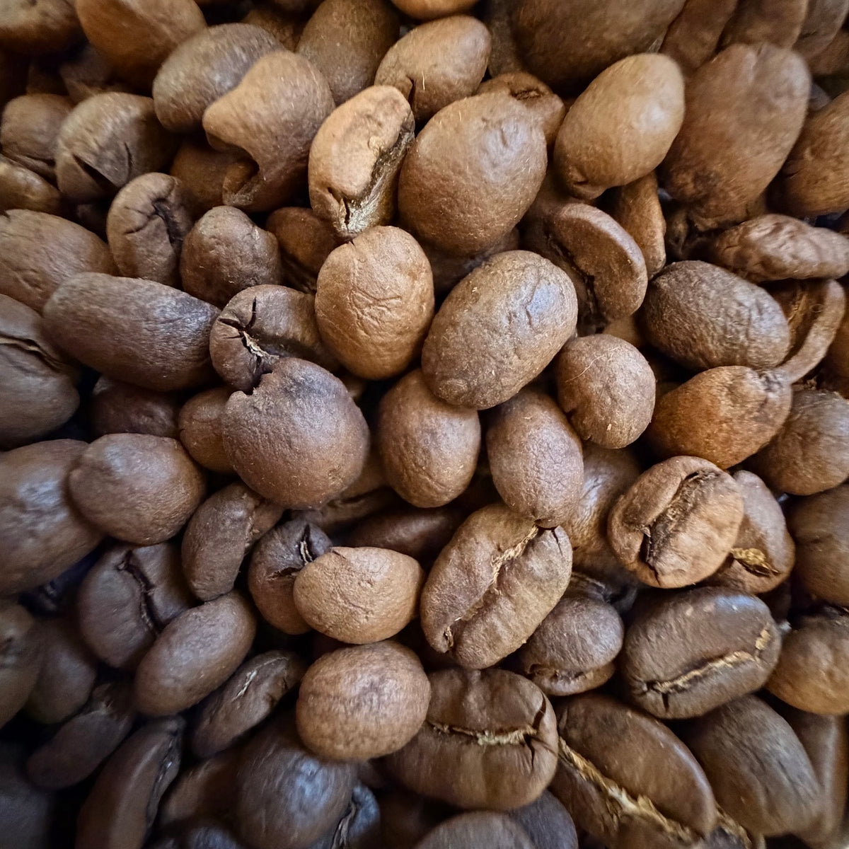 Close-up of Maple Mourning whole coffee beans from Dead Tired Coffee Co. This specialty-grade maple pecan flavored coffee is freshly roasted to order in small batches for a cozy cup with maple and toasted pecan notes.