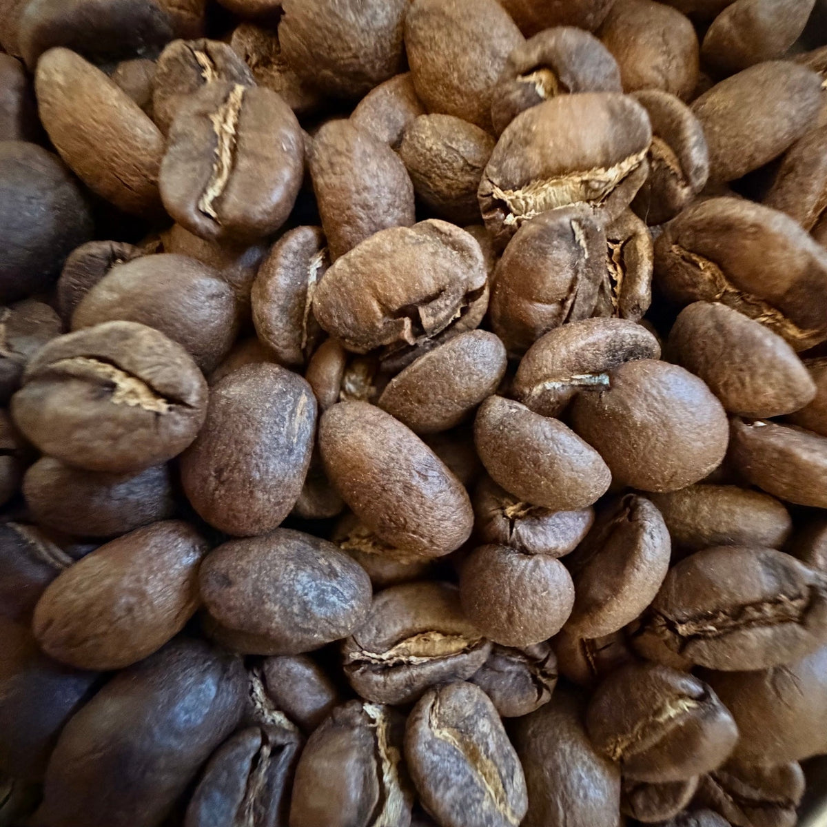 Close-up of medium-roast, single-origin Peru coffee beans from Dead Tired Coffee Co., shown as an origin reference for Silent Repose. Silent Repose is a Swiss Water decaf Peru coffee freshly roasted to order in small batches.