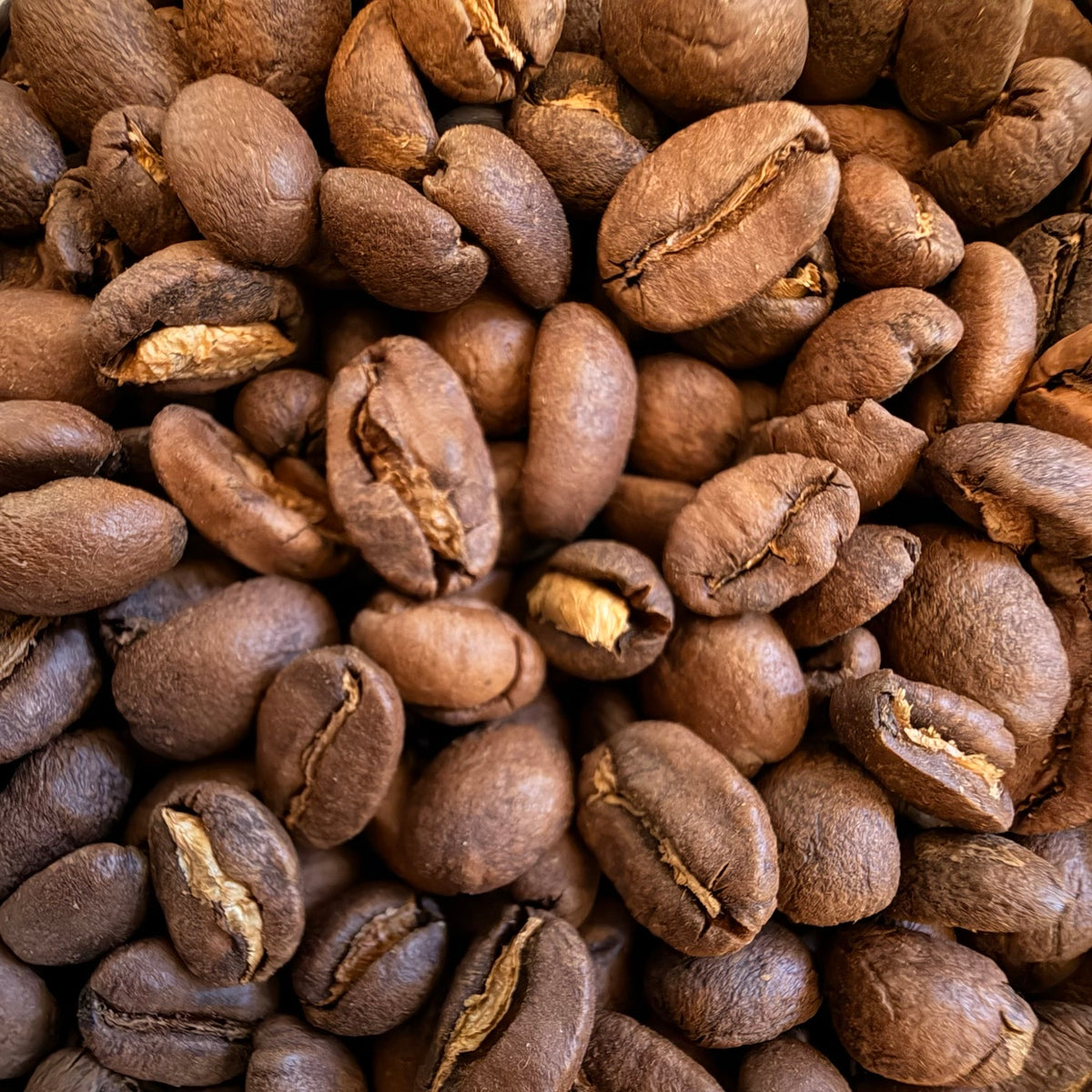 Close-up of Zombie Sunrise whole coffee beans from Dead Tired Coffee Co. This specialty-grade medium-light breakfast blend is roasted to order in small batches for a smooth morning cup.